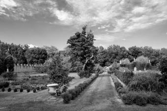 Garden Walk Garden Walk