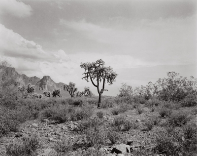 Paula Chamlee: Superstition Mountains, Arizona, with a copy of Natural Connections: Photographs by Paula Chamlee