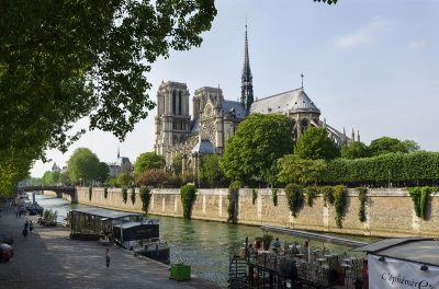 Stephen Perloff: Notre Dame, Paris