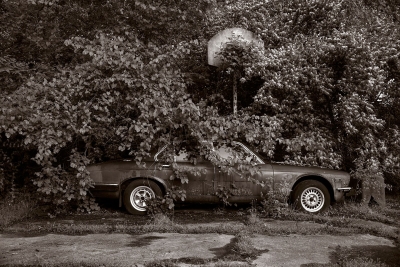 Gary Beeber: Abandoned Jaguar, Found along Nutt Road, Washington Township, Ohio
