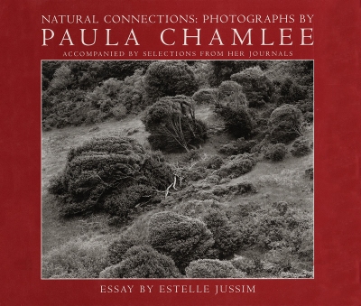 Paula Chamlee:  Natural Connections: Photographs by Paula Chamlee