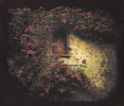 Sandra C. Davis: Madonna with Roses