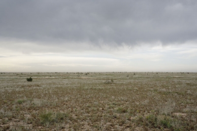 Theo Anderson: Field — Near Hope, New Mexico, from COCA-COLA, the fourth episode and book from the ongoing work, CADILLAC