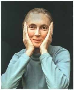 Abe Aronow: Jane Goodall in San Francisco, CA, on 4/15/84