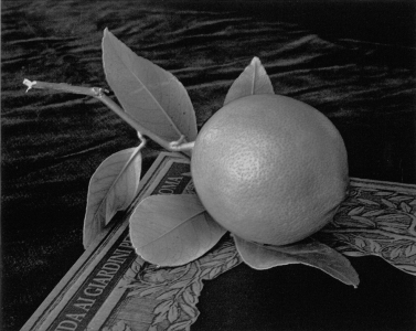 Diane Farris: Giardini Perduti with Lemon