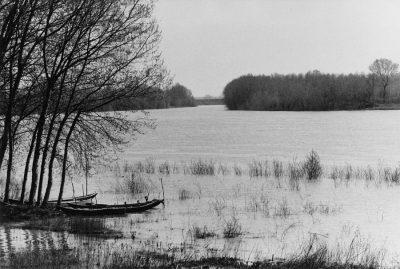 Gianni Berengo Gardin: Boats in Italian Landscape