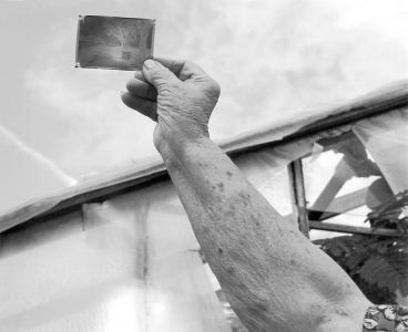 Richard Kent: Looking at What Was, Guest Greenhouses, Warrington, Pennsylvania, from the series Past Houses of Light