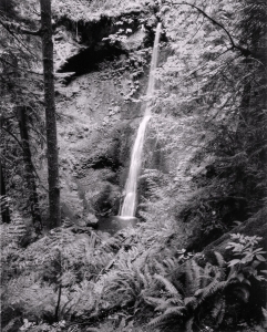 Timothy D. Smith: Waterfall, Olympic National Forest, WA