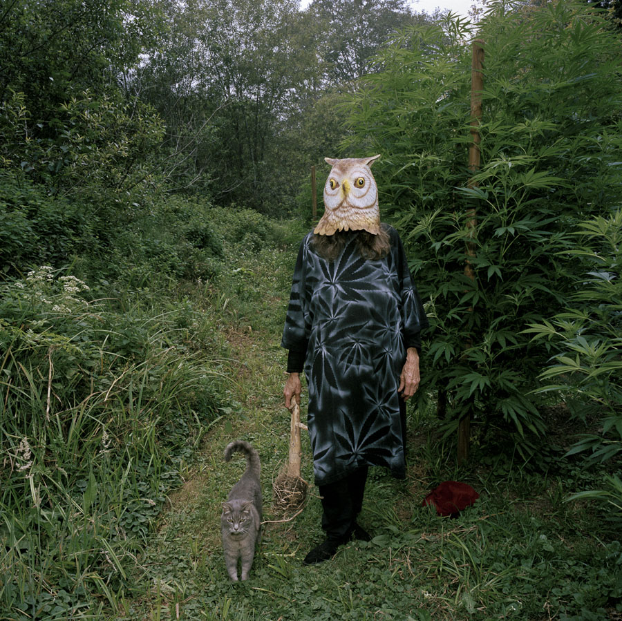 Stuart Rome: The Owl and the Pussycat, Mendocino, from the series, In the Land of the Lotus Eaters