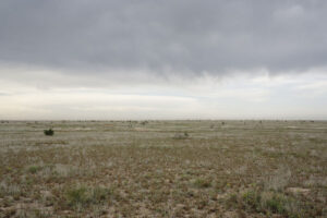 Theo Anderson: Field — Near Hope, New Mexico, from COCA-COLA, the fourth episode and book from the ongoing work, CADILLAC 2007