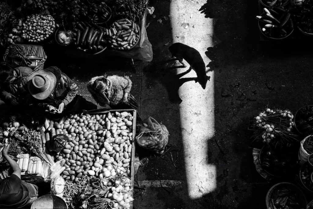 Kip Harris: Vegetable Market, Chichicastenango, 2024