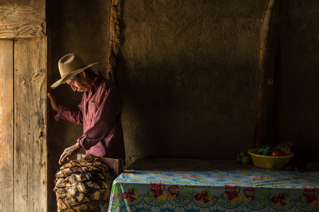 Greg Davis: Emigdio el Mescalero, Oaxaca, 2019