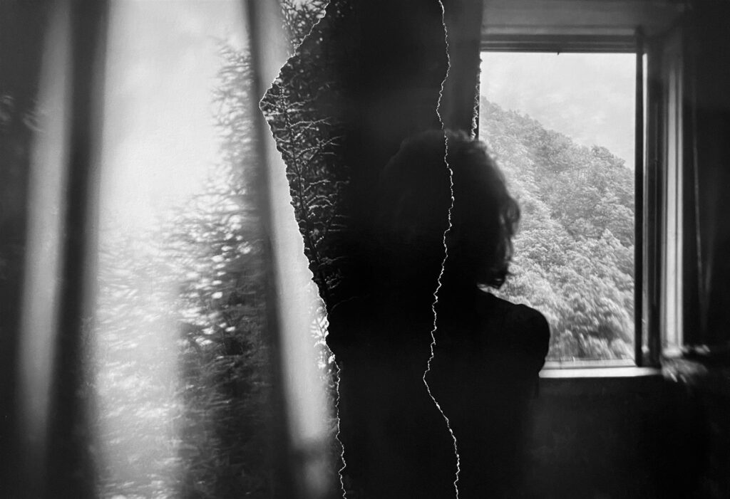 Sarah Hadley: Absence, 2024