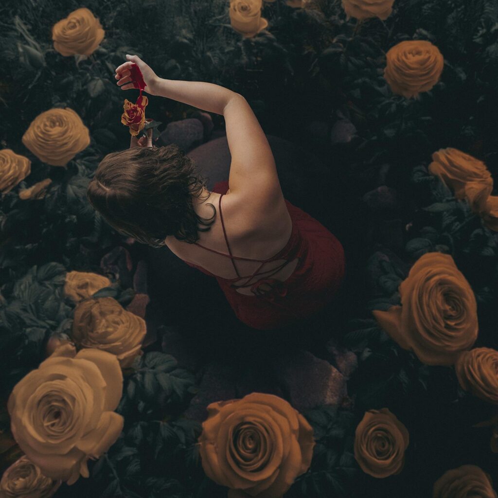 Michaela Salvo: Paint the Roses