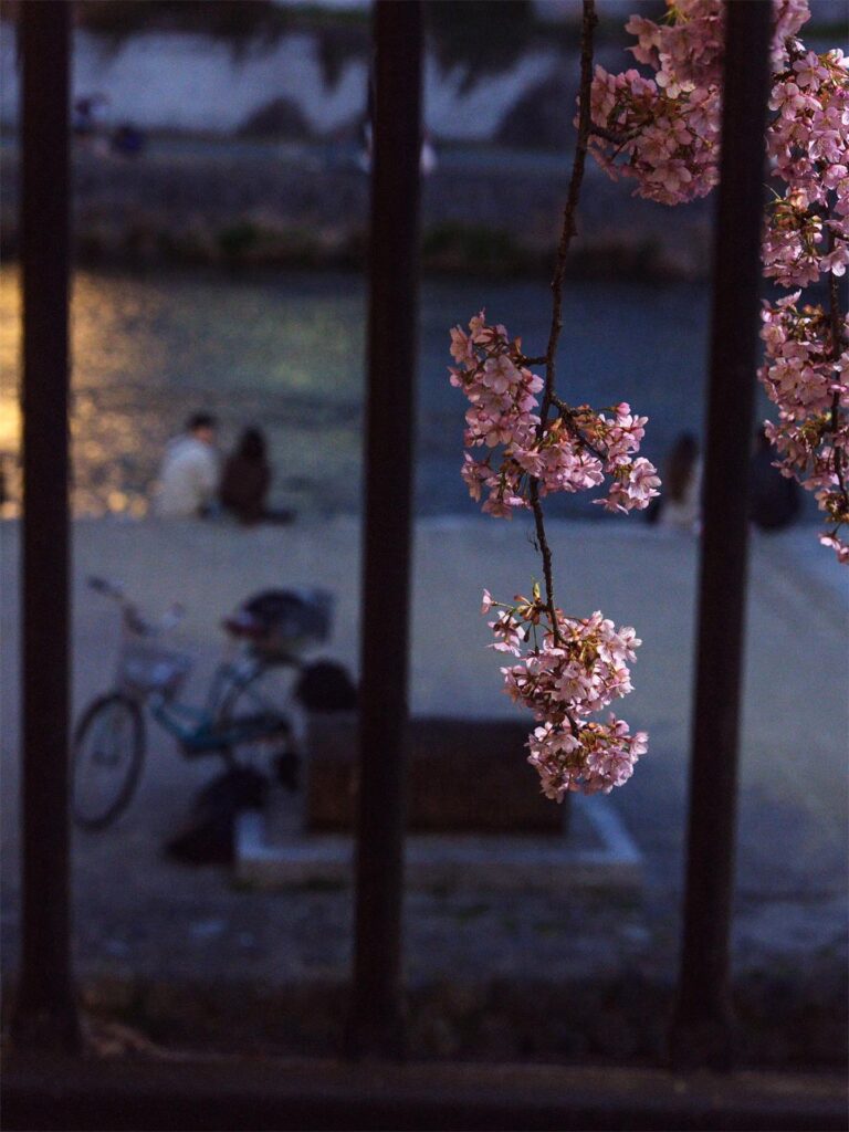 Zili Zhang: One Night by the Kamo River, 2025
