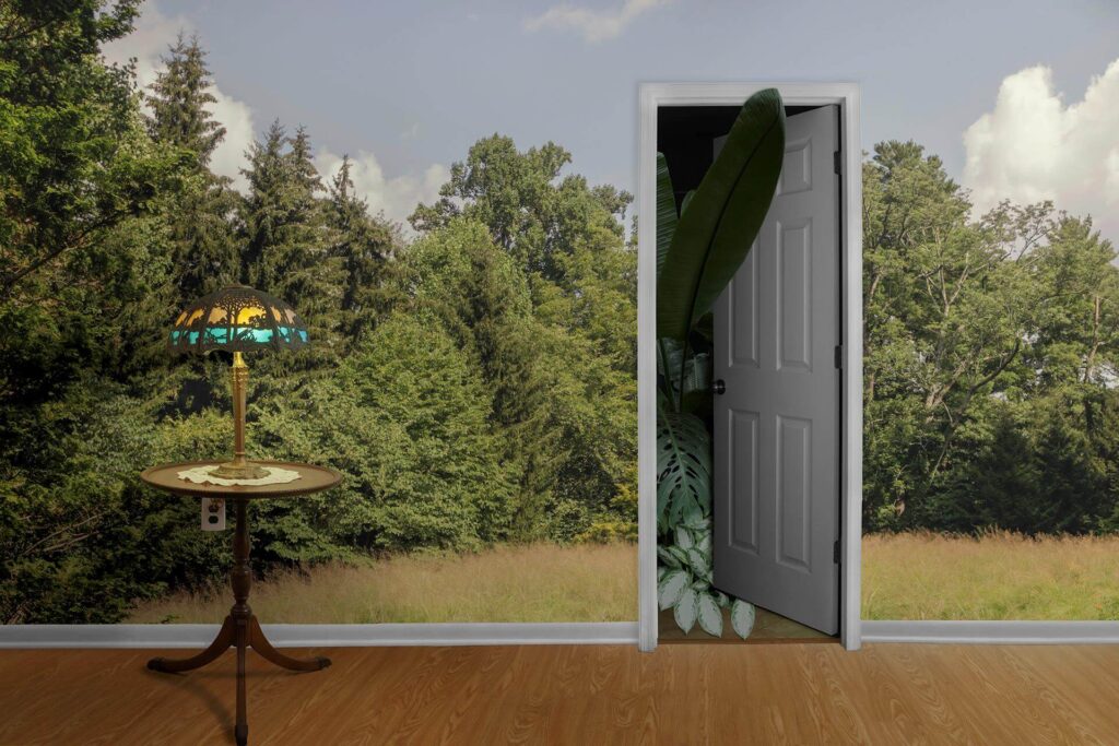 Keith Sharp: Coming Out, archival pigment print, 17˝ x 25˝