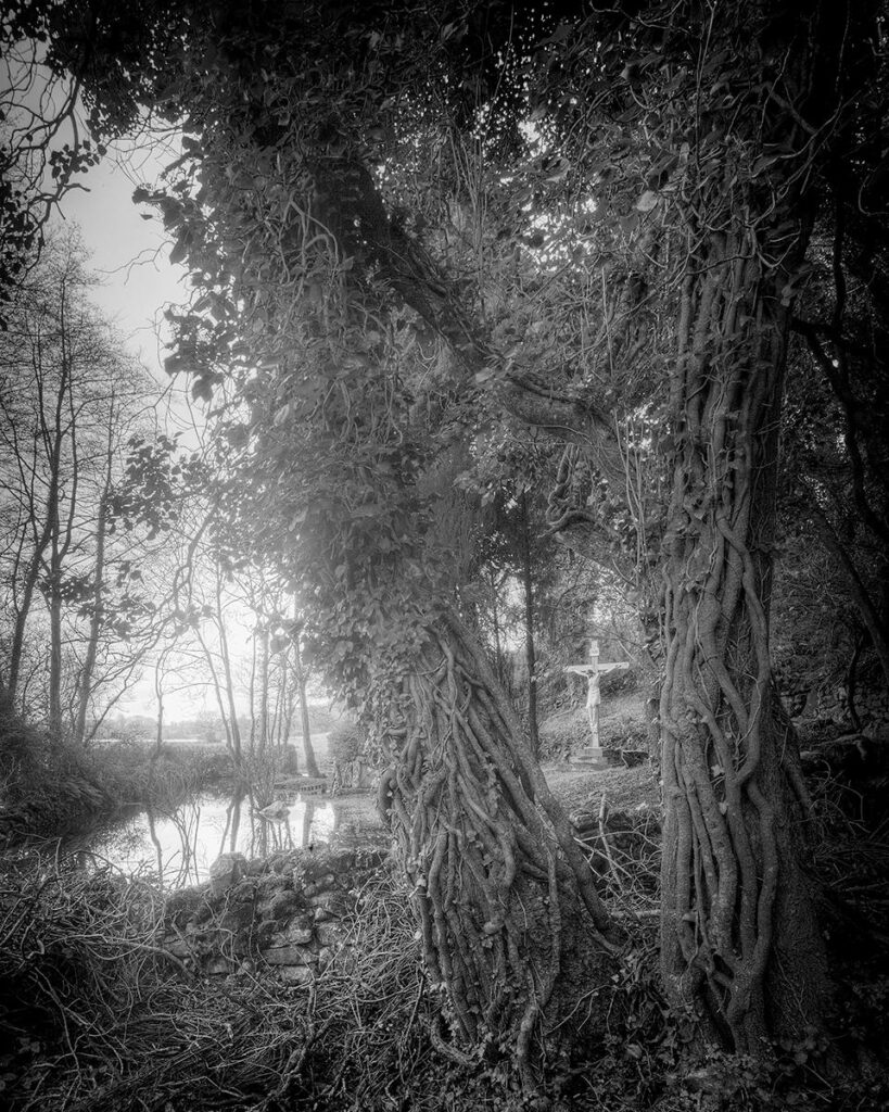 Geoffrey Agrons: Flooded Grotto (County Clare, Ireland), 2009