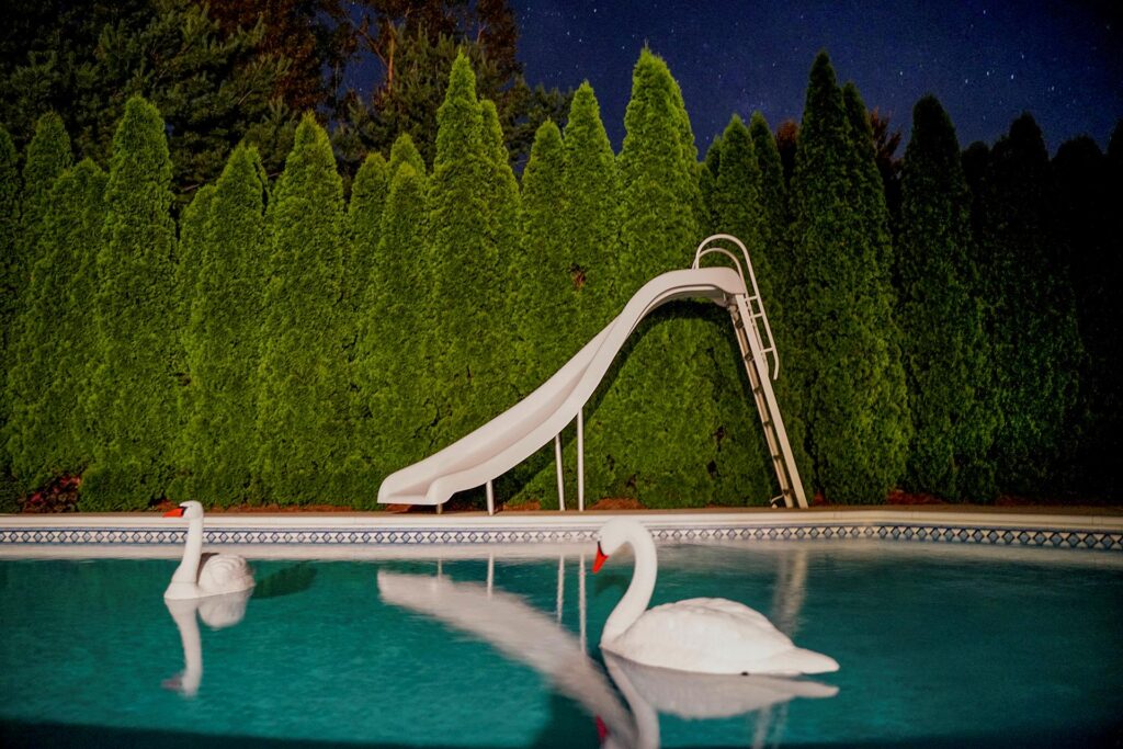 Gary Beeber: Night Swans