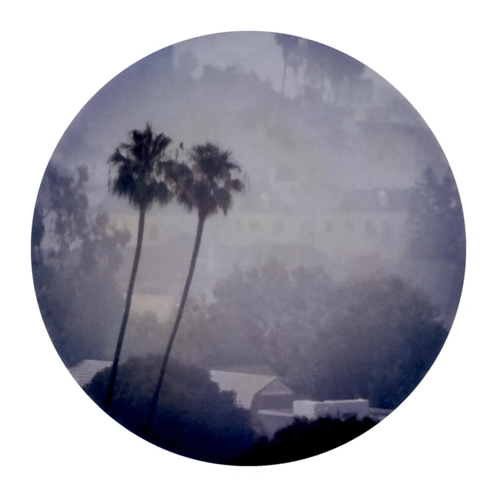Sheri Lynn Behr: LA Gray