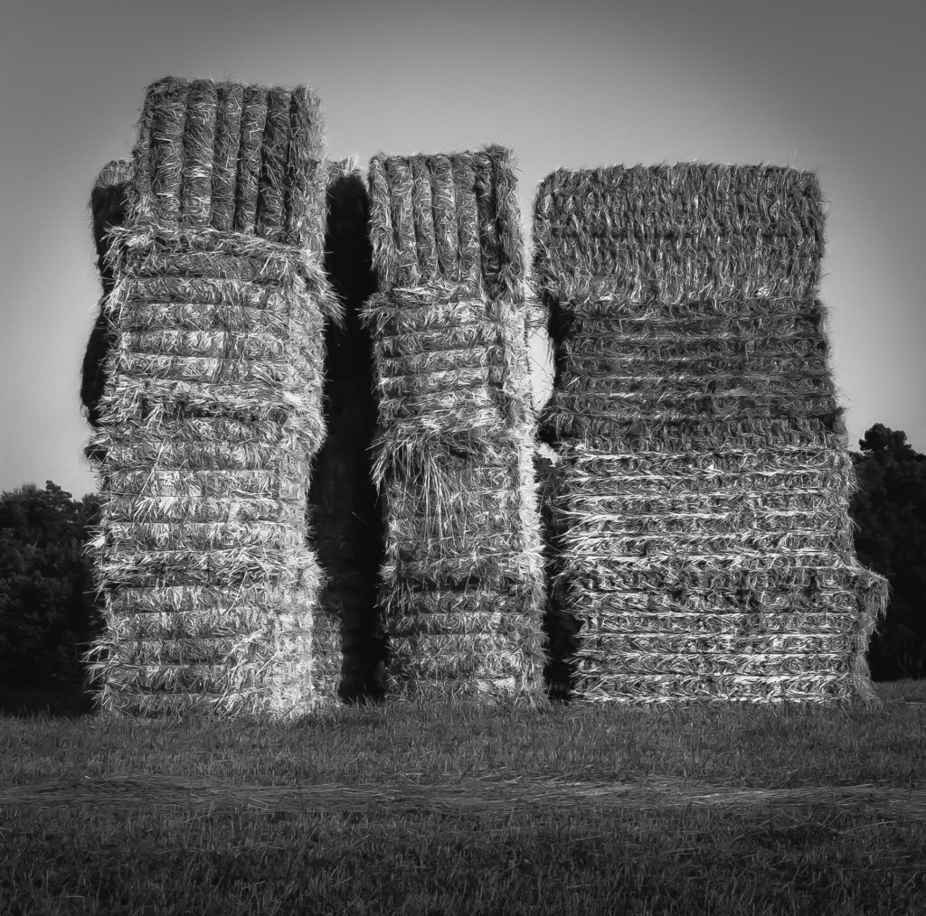 Raymond Carballada: Hay Bale Sculpture
