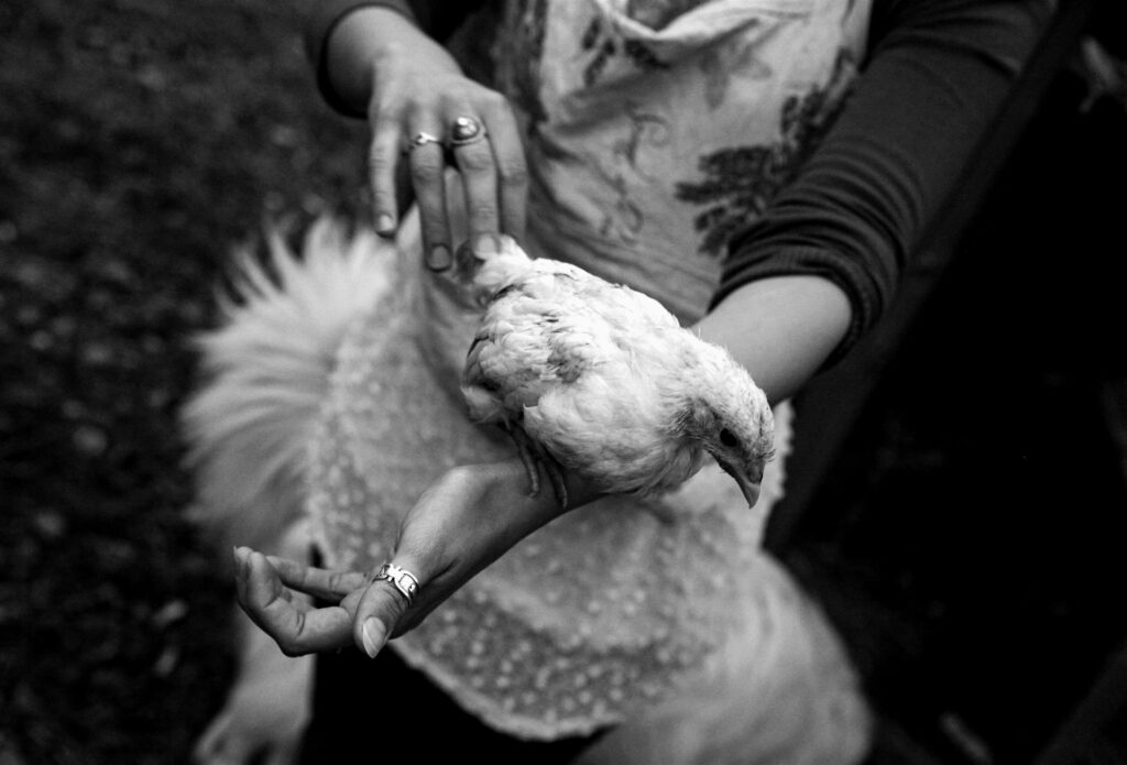 Sorin Costache: Danube Delta in Color Untitled 7