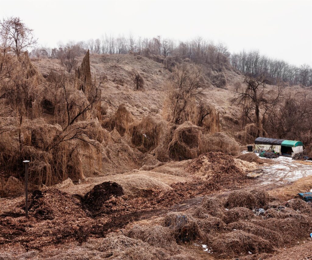 June Yong Lee: Untitled from Monuments Project, 2024