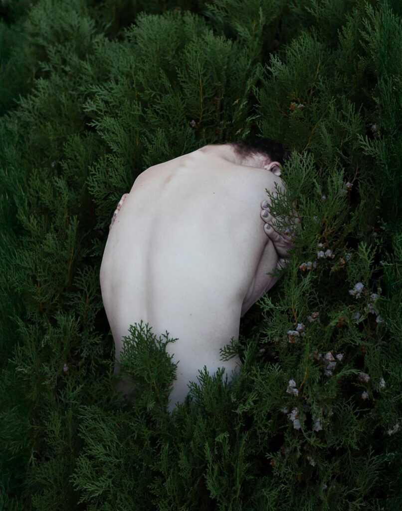 Liz Long: Human Nature, 2025