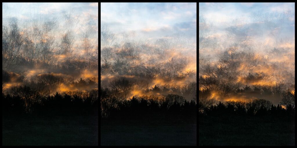 Michael Mazzeo: Providence XIV