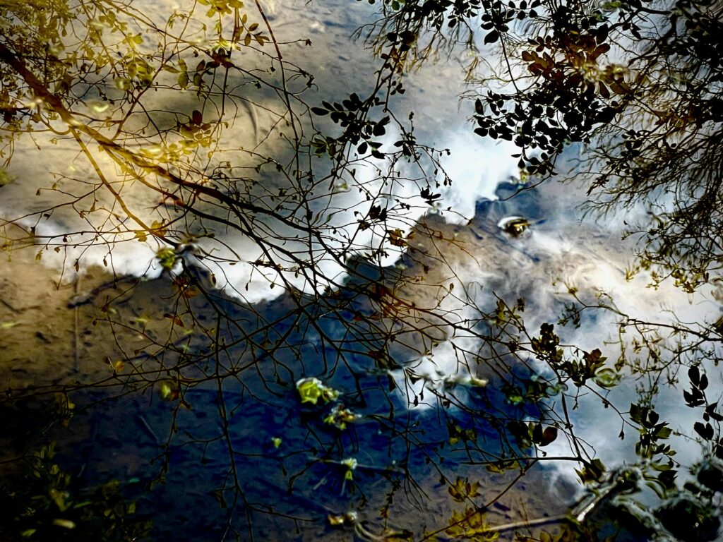 Christopher McDaniel: Untitled