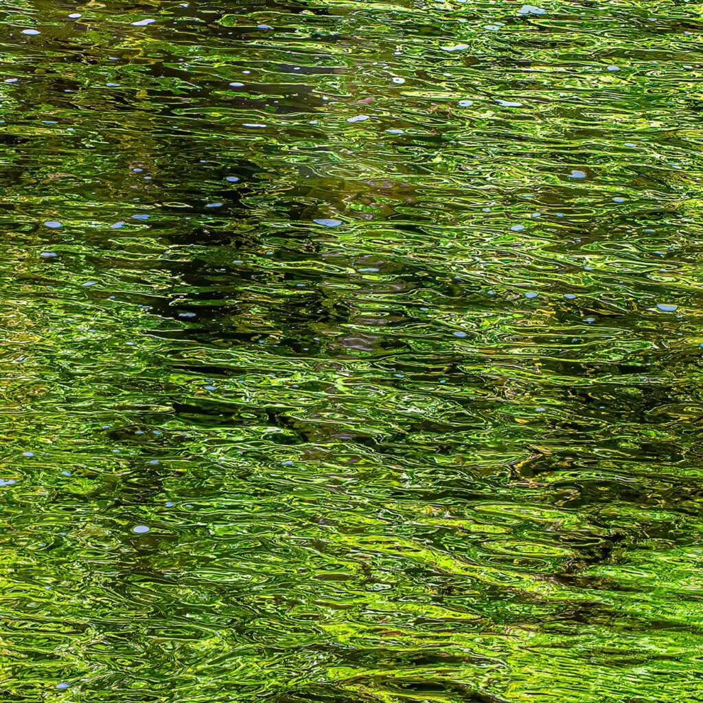 Page Morahan: River of Light, Scotland