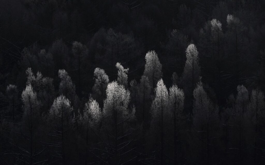 Xuan-Hui Ng: The Enigma of Shadows #4