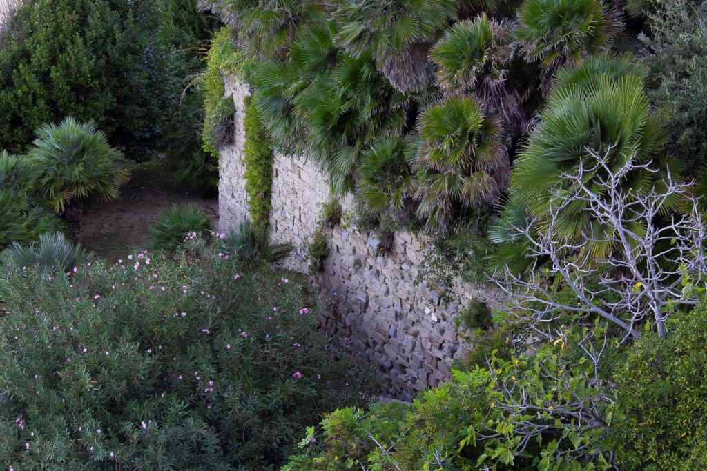 Fran Orlando: Santa Maria di Castellabate