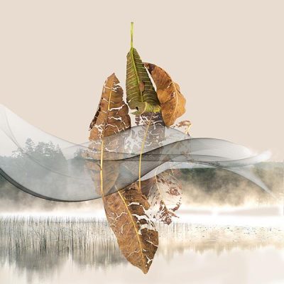 BachLa-Laurence-Bach-Landscape-23-260513150508_1